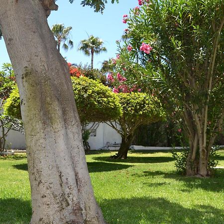 Apartamentos Don Quijote プラヤ・デル・イングレス エクステリア 写真